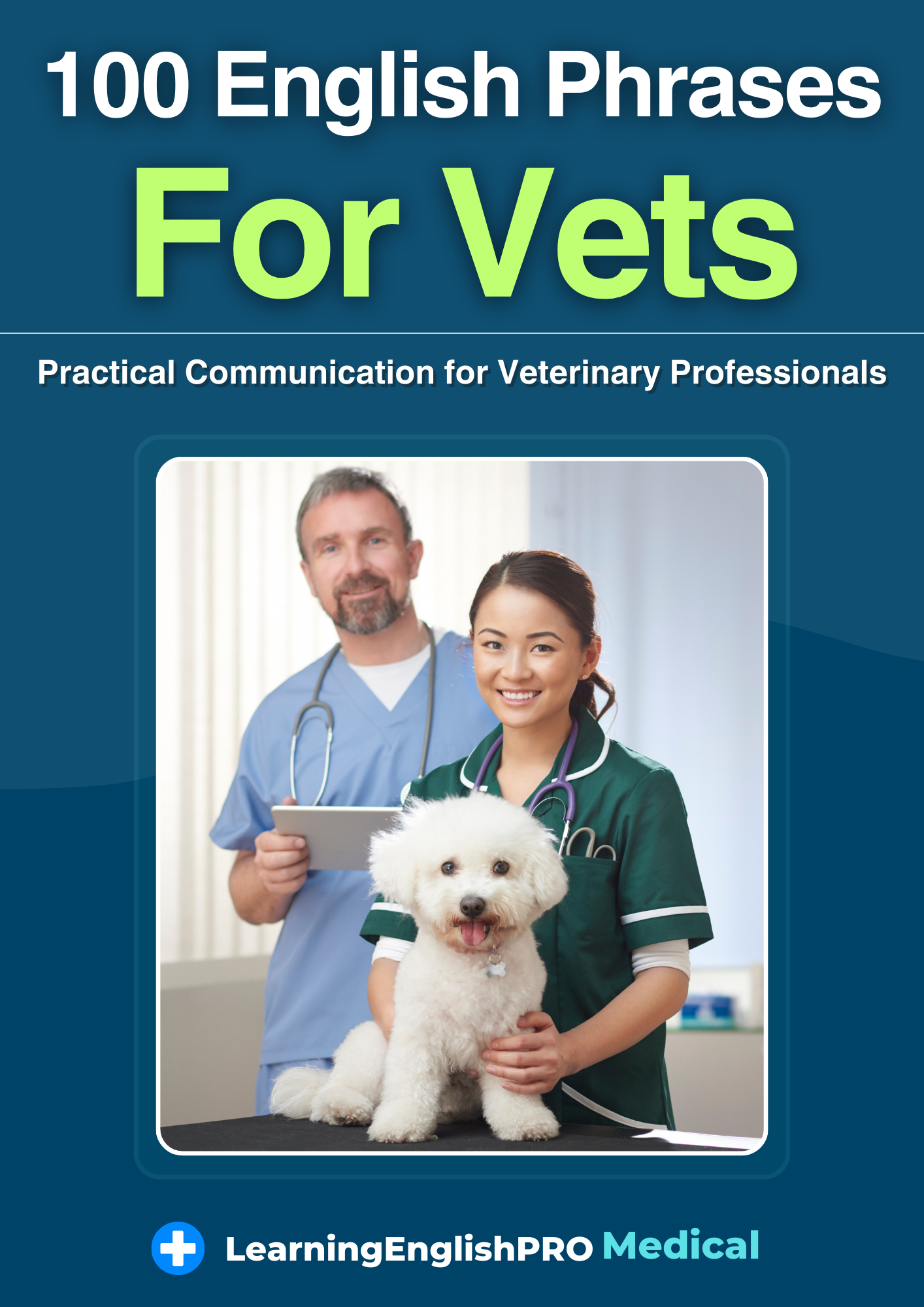 100 English Phrases for Vets – Professional Communication Guide