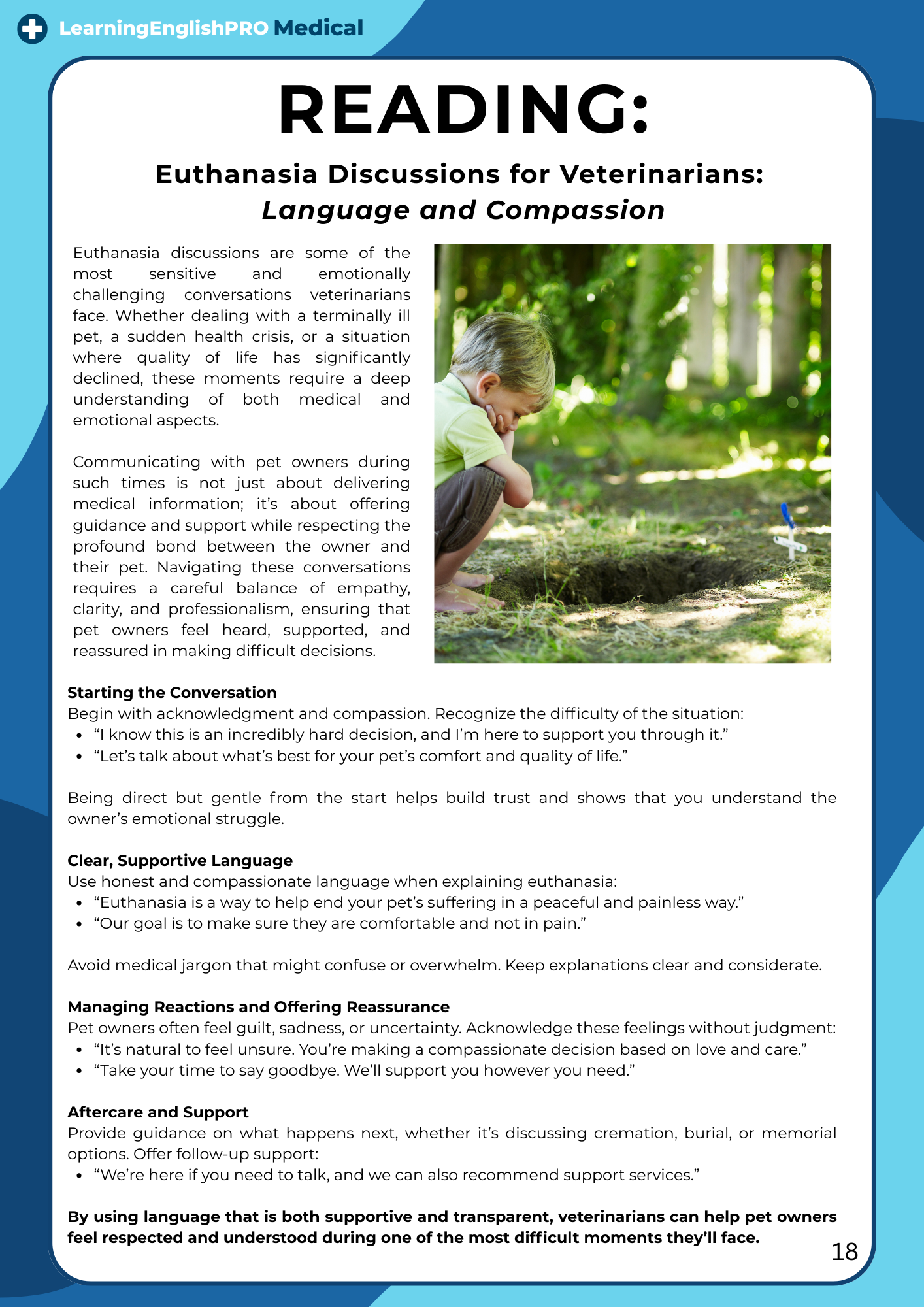 100 English Phrases for Vets – Professional Communication Guide