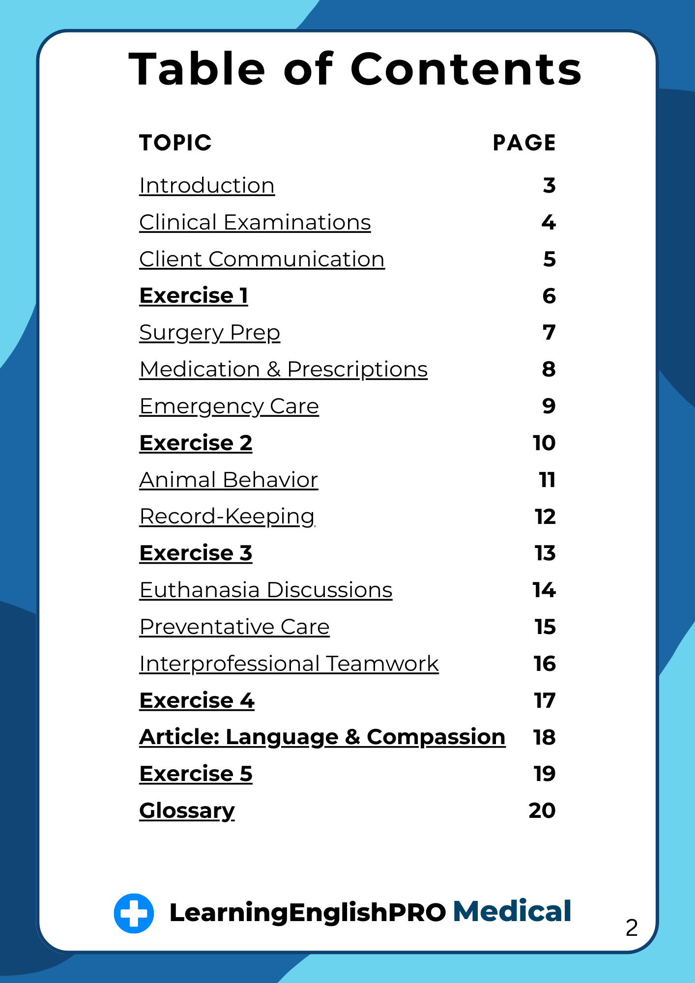 100 English Phrases for Vets – Professional Communication Guide