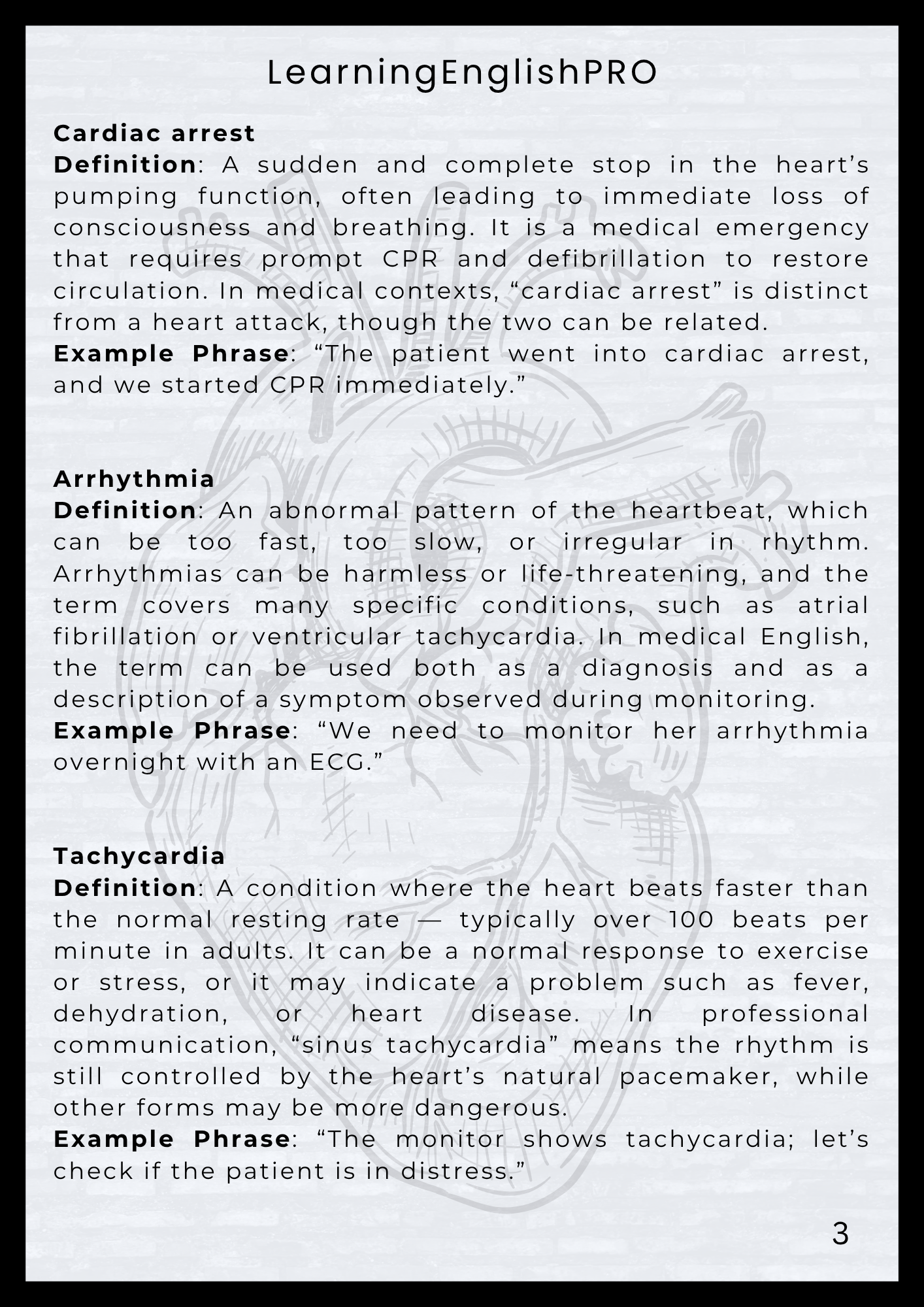 Cardiology: Essential Medical English Guide – LearningEnglishPRO