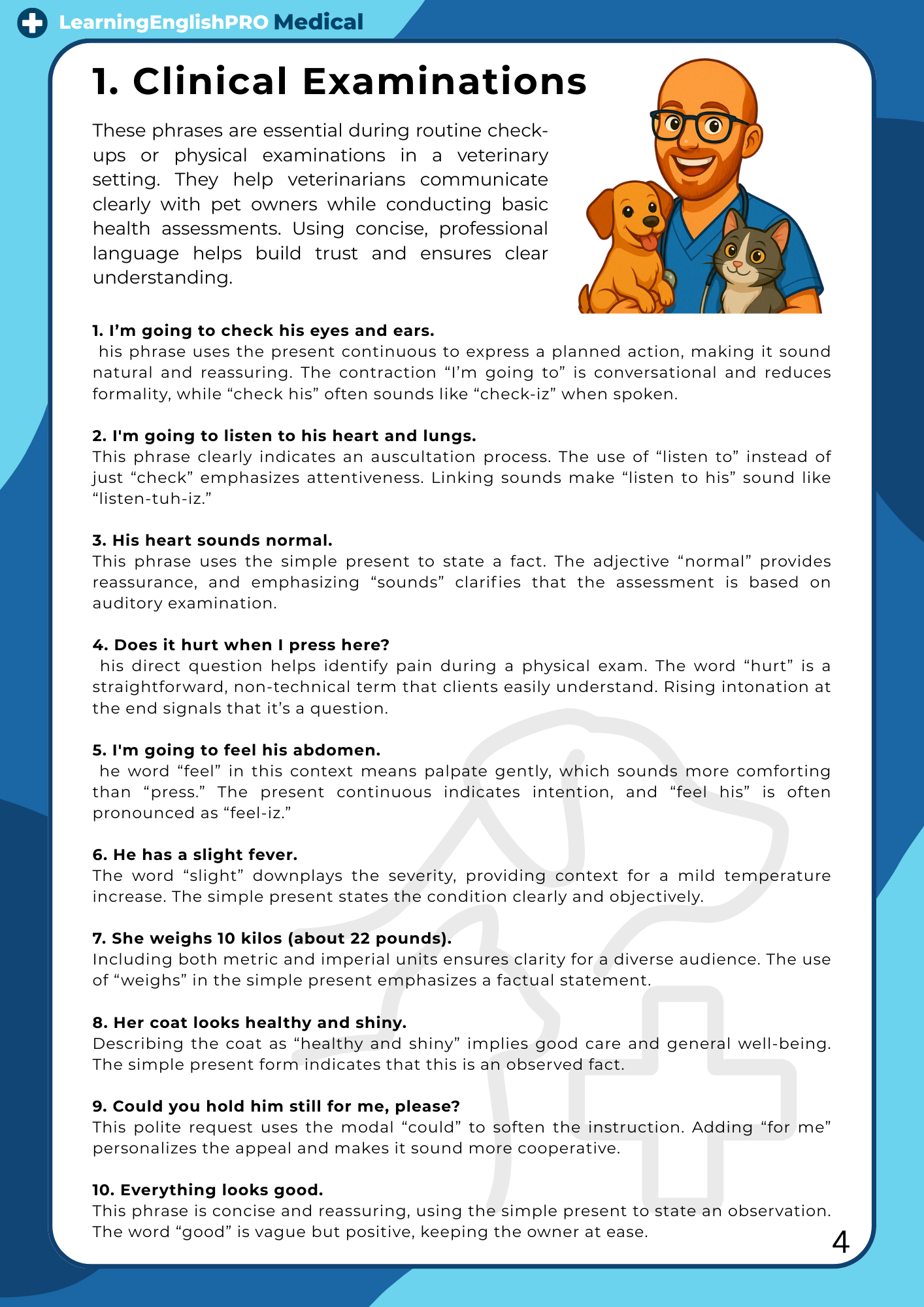100 English Phrases for Vets – Professional Communication Guide